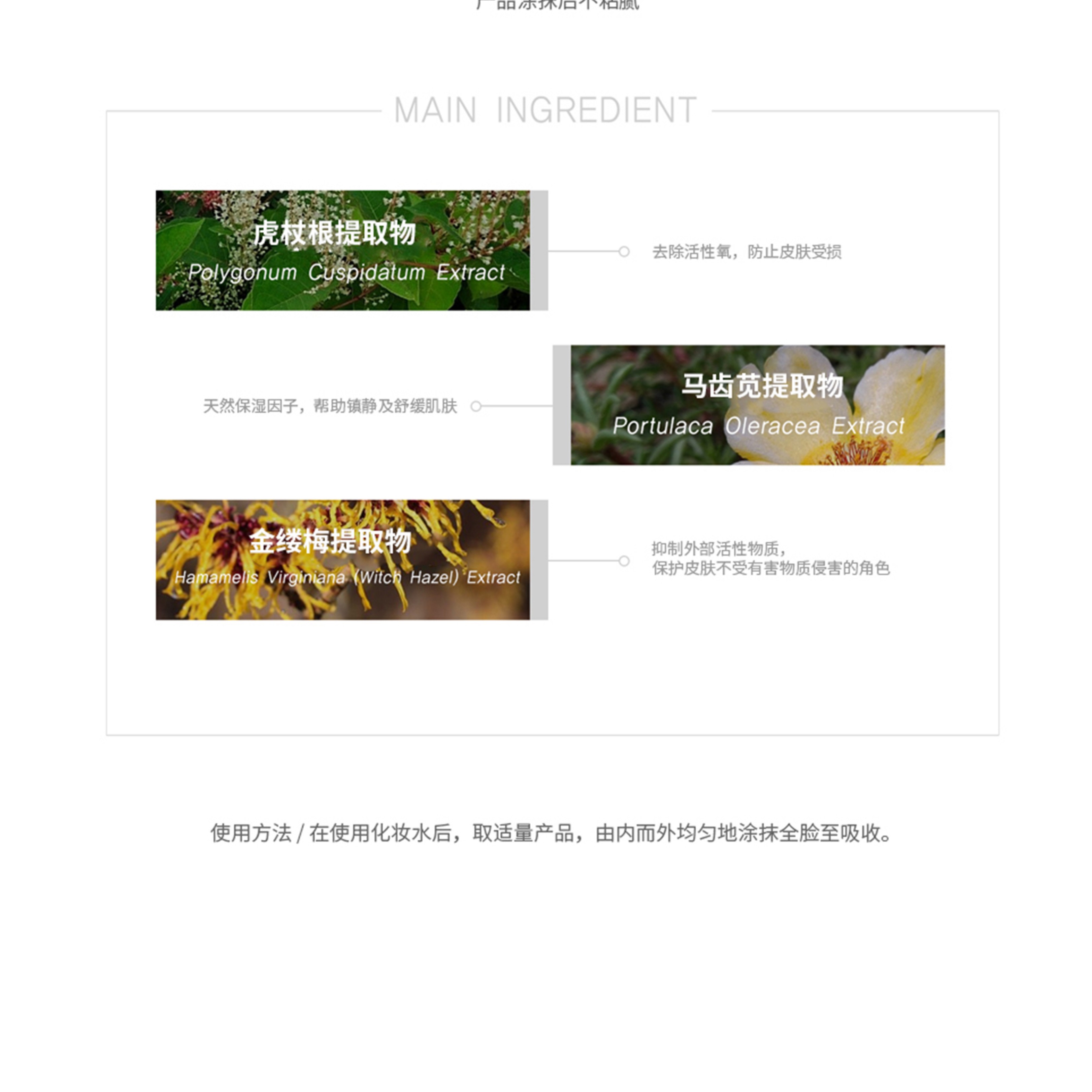 思親科初 亮彩活顏維他命精華液 (圖6)
